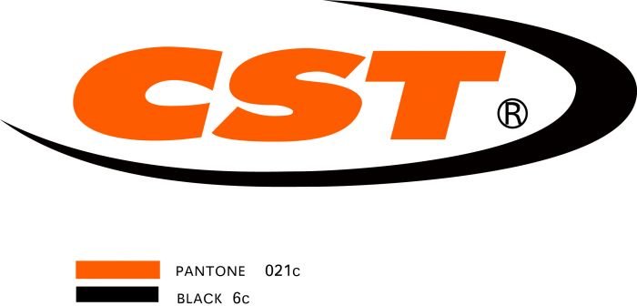CST 29